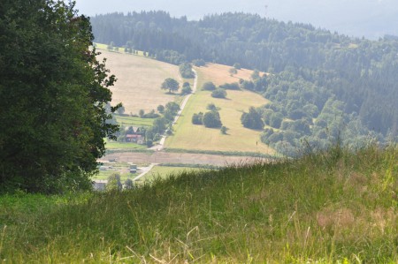 Svrčinovec Leto 2018